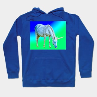 Unicorn eating the rainbow Hoodie